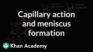 3 Contact angle  Capillarity  Capillary action  Surface tension  IIT advanced  Physics 11 [upl. by Parcel562]