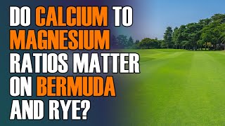 Do Calcium to Magnesium Ratios Matter for Bermuda and Rye [upl. by Orecic]