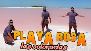 ⚠️Nos Metimos A UNA Propiedad PRIVADA🚫🌴UNA PLAYA DE COLOR ROSA 🏖️  🎒 LAS COLORADAS 🦀 [upl. by Enelaj]