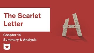 The Scarlet Letter  Chapter 14 Summary and Analysis  Nathaniel Hawthorne [upl. by Margetts]