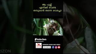 ഒളിഞ്ഞുനോക്കിയാൽ ഈ വൃത്തികേട് പലതും കാണുംyoutubeshorts malayalamshortscomedyshorts [upl. by Asena952]