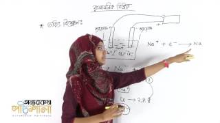 13 Electrolysis  তড়িৎ বিশ্লেষন  OnnoRokom Pathshala [upl. by Airdnax940]