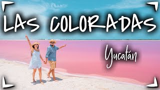 Las Coloradas YUCATAN y Rio Lagartos 🔴 GUIA COMPLETA ► Que hacer precios hospedaje 🟡 Vale la PENA [upl. by Mera466]