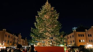 横浜クリスマスマーケットin赤レンガ倉庫2023Christmas Market in Yokohama Redbrick Warehouse [upl. by Ahsitruc]