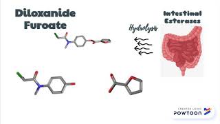 Diloxanide Furoate MOA [upl. by Kennie]