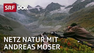 Die Schweiz und die Jagd  NETZ NATUR mit Andreas Moser  DOK  SRF Wissen [upl. by Arutak]