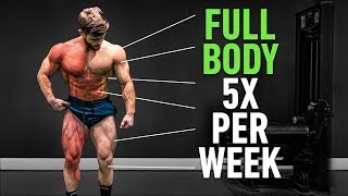 Full Body 5x Per Week Why High Frequency Training Is So Effective [upl. by Rizzo]