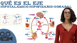 Parte 1 Procesamiento histológico de muestras biológicas [upl. by Loeb]