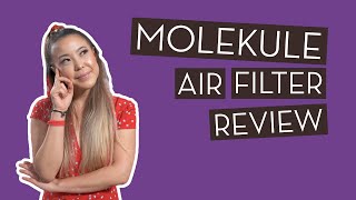 Molekule Air Filter Review  Is It Worth It [upl. by Aikemahs]