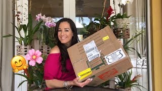 Unboxing Cattleya Orchids Amazon Order from Hawaii Orchid Diva [upl. by Atauqal481]