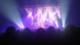 Firth of Fifth Steve Hackett assolo finale Padova 2 11 2024 [upl. by Neitsabes114]