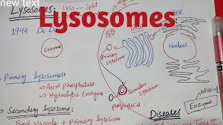 Lysosomes  Glycogensis type 2 disease Taysach disease class 11 biology [upl. by Silvano]