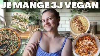 JE TESTE LE RÉGIME VEGAN PENDANT 3 JOURS  Recettes sucrées et salées du petit déjeuner au dîner [upl. by Artimed]