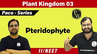 Plant Kingdom 03  Pteridophyte  Class 11  NEET  PACE SERIES [upl. by Yenahc]