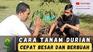 💯 ✅ ILMU DAGING  CARA TANAM DURIAN CEPAT BESAR DAN BERBUAH [upl. by O'Driscoll]