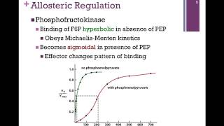 051Allosteric Regulation Summary of Enzyme Regulation [upl. by Sitsuj375]