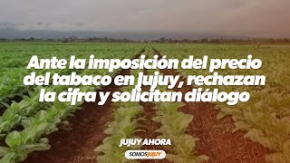 Ante la imposición del precio del tabaco en Jujuy rechazan la cifra y solicitan diálogo [upl. by Ak555]