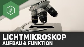 Das Lichtmikroskop – Aufbau und Funktion [upl. by Ehcrop]