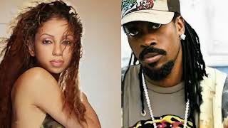 Beenie Man Ft Mya  Girls Dem Sugar quot432HZquot [upl. by Moe581]