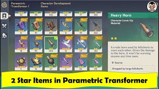 Parametric Transformer  What will you get when you use 2 Star Items  Genshin Impact [upl. by Needan54]