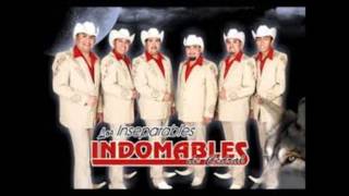 los indomables decedral huapango bailando norteño [upl. by Aseela]