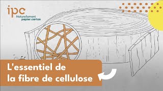 FIBRE DE CELLULOSE 🌾🗎 C’est quoi  Découvrez l’essentiel [upl. by Dorelle150]