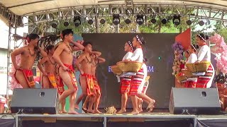 Mountain Province Cultural Dance  University of the Cordilleras panagbenga2024 culture festival [upl. by Luis756]