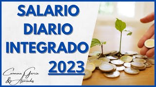 Salario Diario Integrado 2023 [upl. by Adrianne]