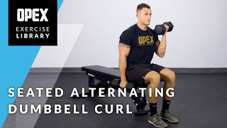 Seated Alternating Dumbbell Curl  OPEX Exercise Library [upl. by Nylahs]