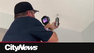 New Calgary homes seeing increase in issues home inspector [upl. by Derron]