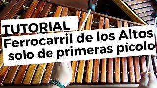 Ferrocarril de los Altos Solo de primera voz picolo TUTORIAL [upl. by Aticnemrac]