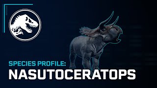 Species Profile  Nasutoceratops [upl. by Sigismund]