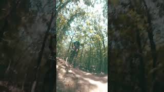 mtb clean dhmtb bornformtb mtbjumps mountainbike whip jbr [upl. by Previdi]