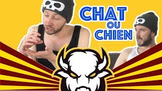 LES FRERES BISON  TEAM CHAT 🐱 OU TEAM CHIEN 🐶 [upl. by Enneirb]