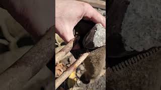 Survival Hacks under 60 Sec  Dry Your Socks and Jacket on Wood for Comfort in the Wild [upl. by Dawes]