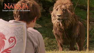 Meeting Aslan  Narnia The Lion The Witch and the Wardrobe [upl. by Yetnom408]