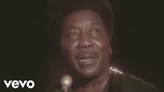 Muddy Waters  Hoochie Coochie Man Live [upl. by Mandy28]