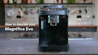 DeLonghi How To Descale Magnifica ESAM4200 [upl. by Eirlav]