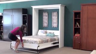 Wall Beds Murphy Wall Beds San Diego 1 [upl. by Arny]