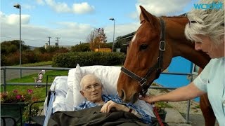 Dying Man Says Goodbye to Beloved Horse [upl. by Anehc]