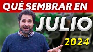 Calendario de Siembra 2024 Que sembrar en JULIO en el Huerto de Verano y de Invierno [upl. by Claudio]