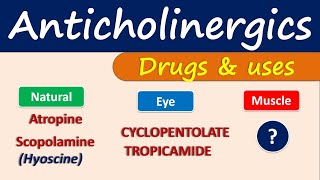 Anticholinergics  Drugs and uses [upl. by Mccandless]