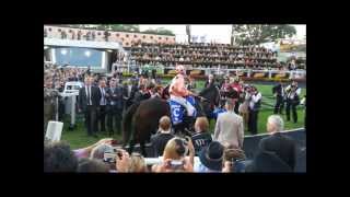 Black Caviar  Last race at royal randwick 2013 TJ Smith [upl. by Brenna]