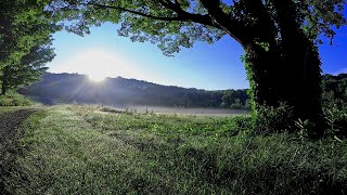 Ward Pound Ridge Reservation  Westchester County Parks [upl. by Nim]