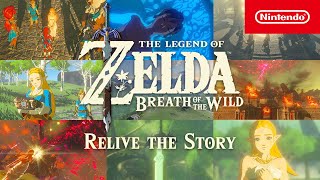 We Played Through Breath of the Wild 2PLAYER [upl. by Aed365]