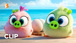 The Angry Birds Movie 2 Movie Clip  Hatchling Eggs 2019  Fandango Family [upl. by Paddie]