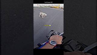 Dog Attack On Super Bike Rider exaust Sound 😂 bmws1000rr exaustsound dog dogattack shorts bike [upl. by Sekyere597]