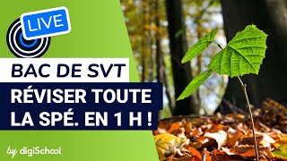 Bac de SVT  tout ce quil faut savoir sur lépreuve [upl. by Pedro802]