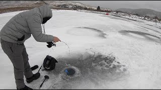 FIRST ICE Colorado Multispecies ice fishing [upl. by Palua31]