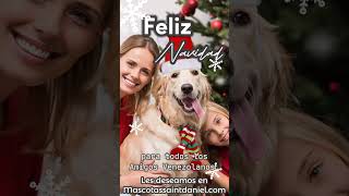 Feliz Navidad a los clientes y amigos del gran pueblo Venezolano [upl. by Autrey]